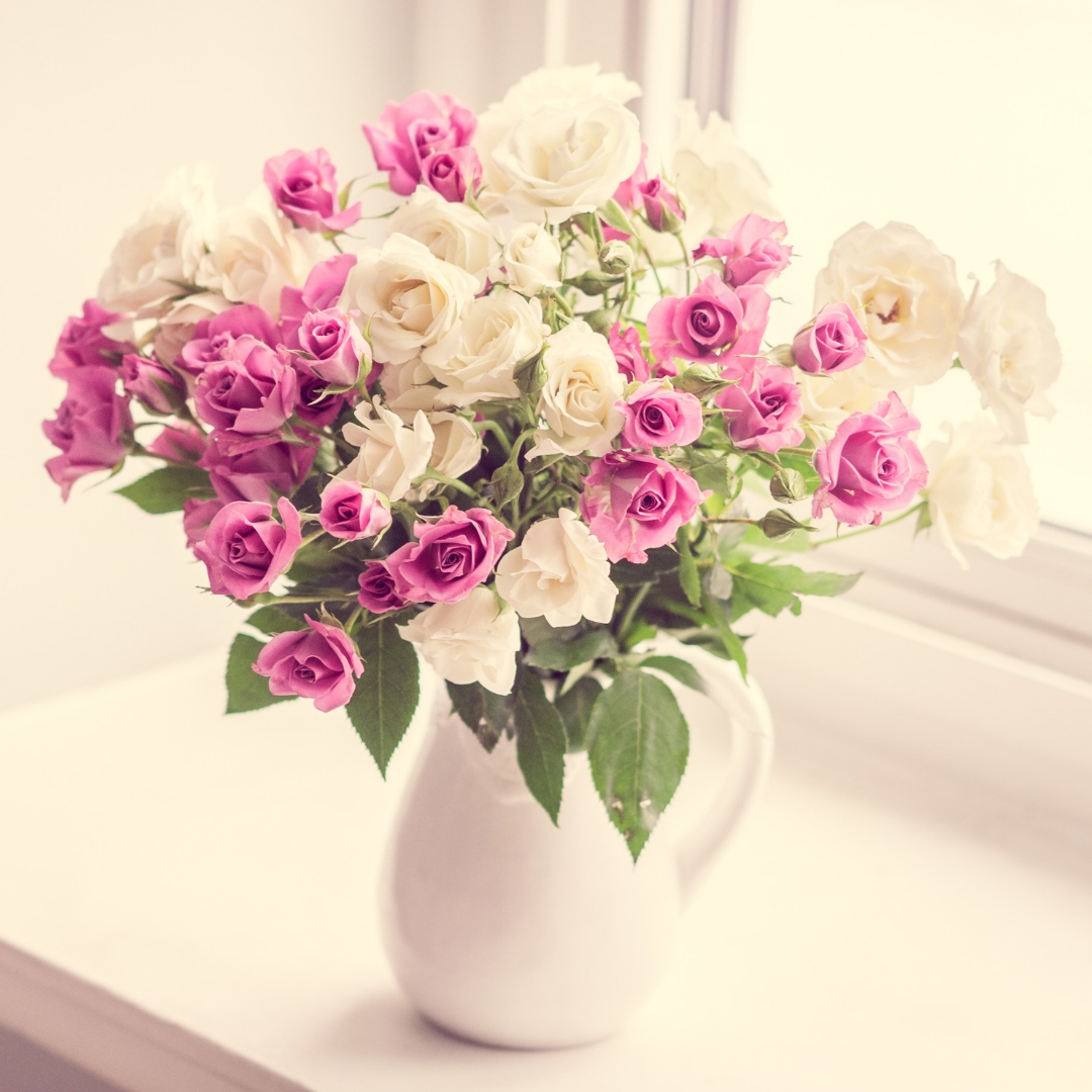 Flores em Vasos