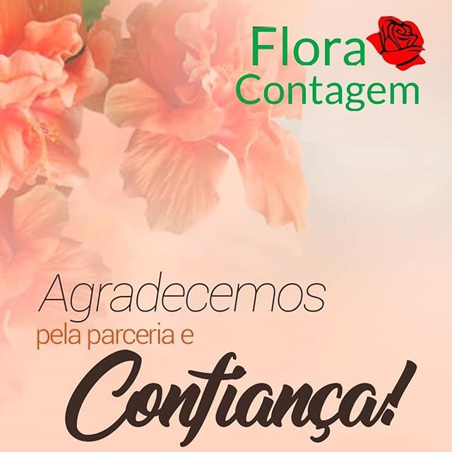 Agradecimento pelo carinho e apoio
