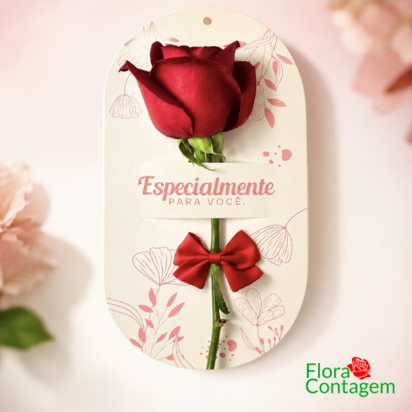   Rosa Carta: Especialmente para Você!