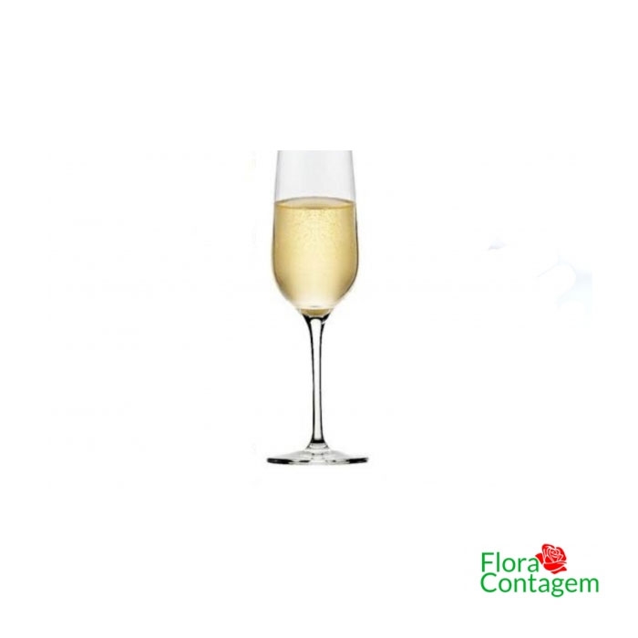 Taça de Champangne