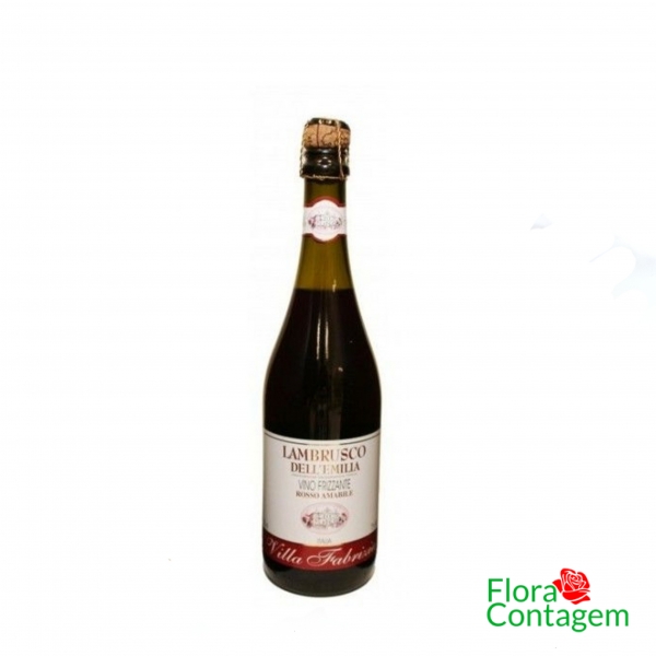 Vinho ITALIANO Lambrusco 